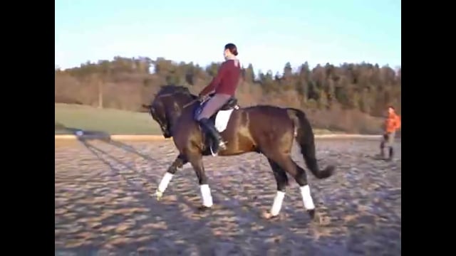 Soft, Relaxed Connection &Transitions Within the Gait | Hilda Gurney