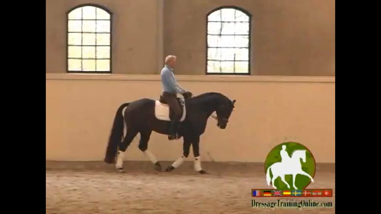 Basics: Transitions, Pirouettes, Developing the Trot | Guenter Zach | PART 01