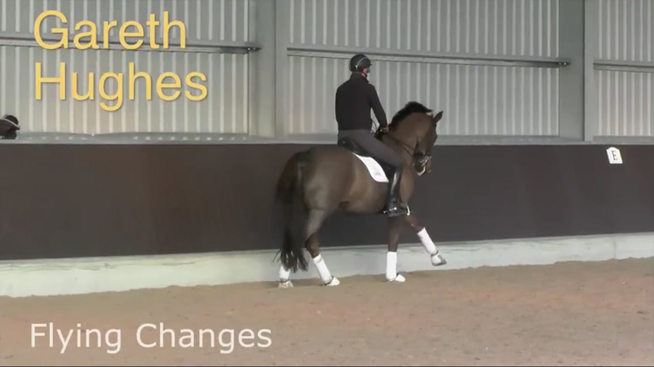 Flying Changes | Gareth Hughes | PART 02