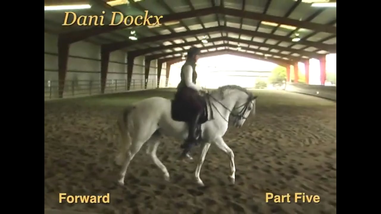 Forward, Responsiveness, Half Pass, Passage | Daniel Martin Dockx | PART 05