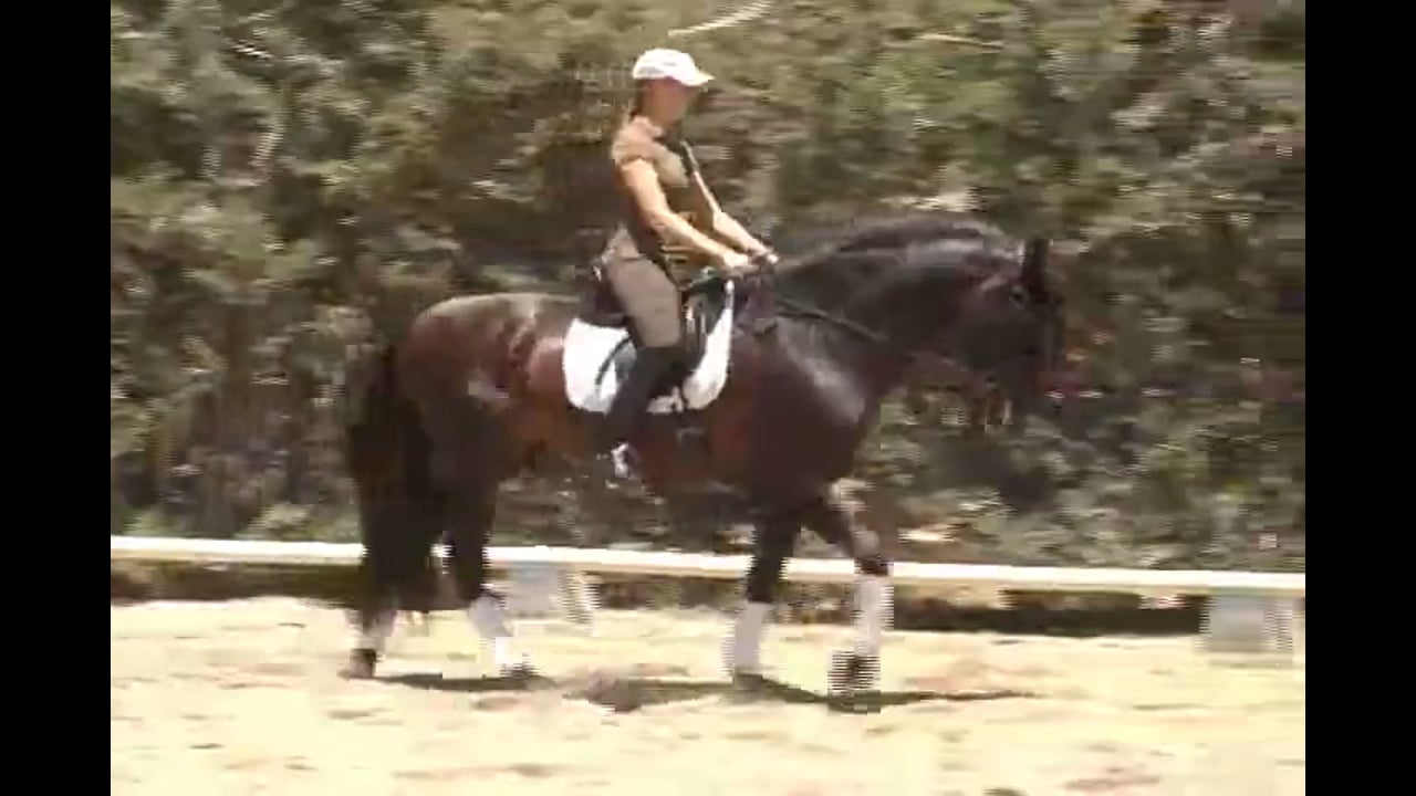 Figuring Out the Right Buttons with This Horse | Hilda Gurney | PART 01