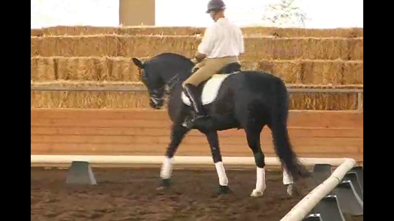 FEI Work, Collection, Improving the Cadence | Jan Brink | PART 01