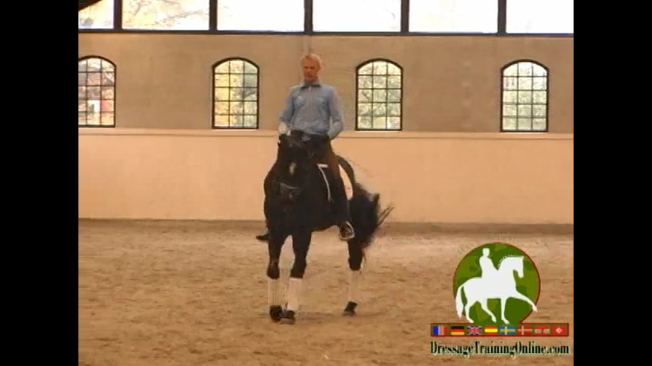 Lateral Work & Introducing Half Steps | Arthur Kottas-Heldenberg | PART 01