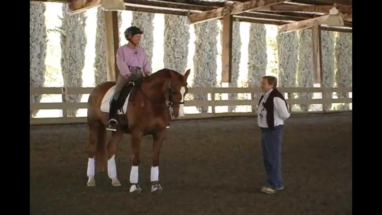 Focus on walk canter and canter walk transitions - v part 3