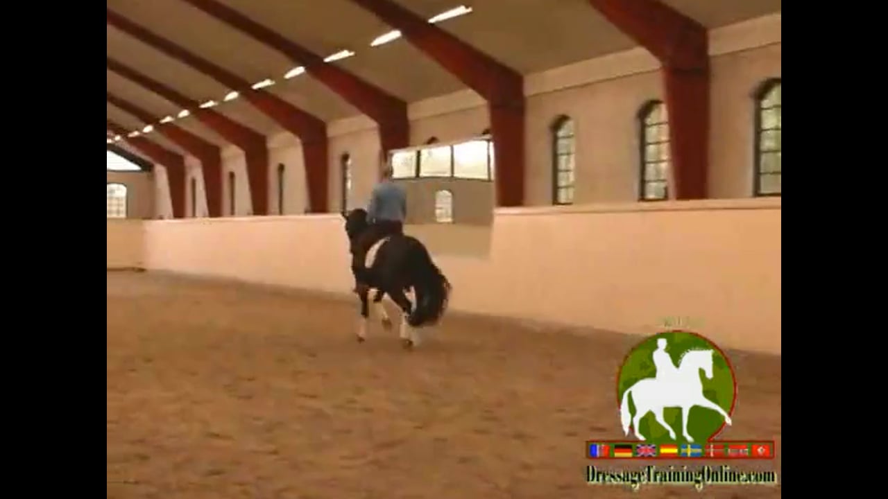 Lateral Work & Introducing Half Steps | Arthur Kottas-Heldenberg | PART 02