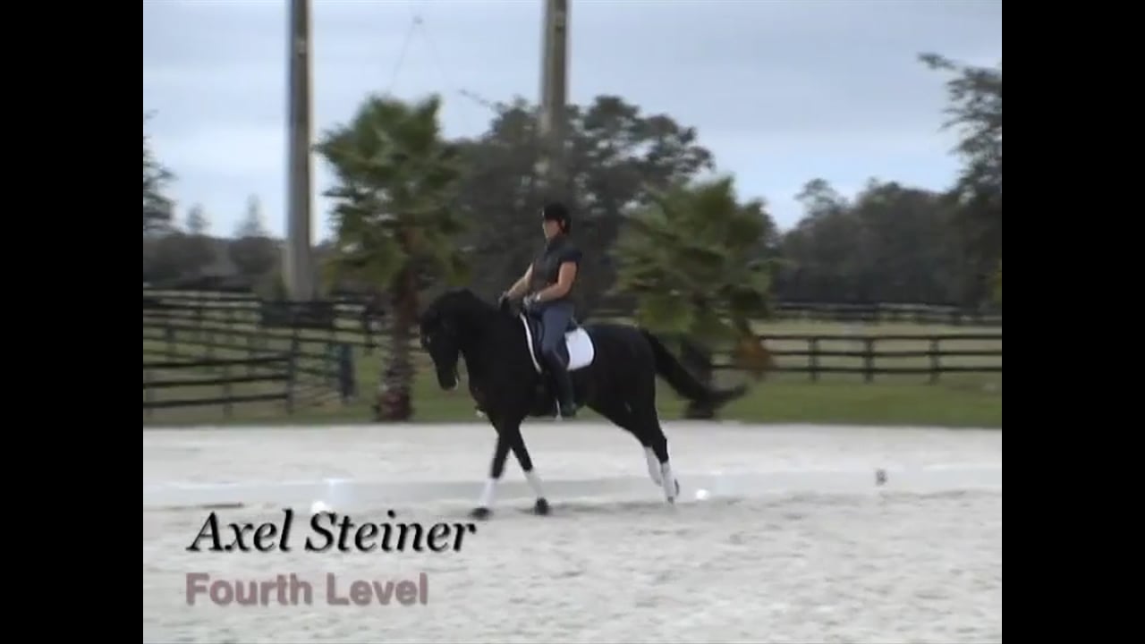 Fourth Level, Test 2, Practice Test and Tips with Axel Steiner | PART 04