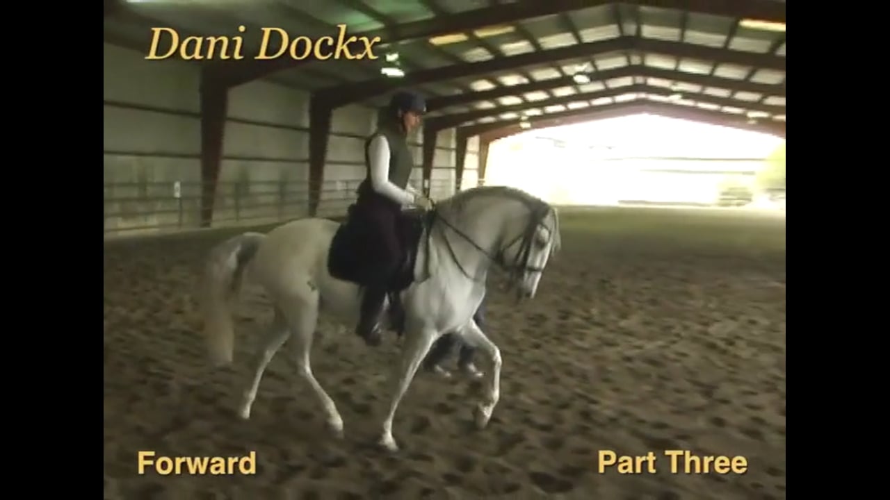 Forward, Responsiveness, Half Pass, Passage | Daniel Martin Dockx | PART 03