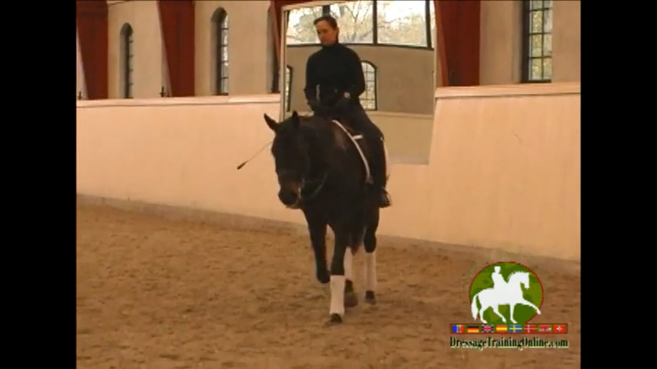 Forward and Back in Canter | Ronny Riemer | PART 01