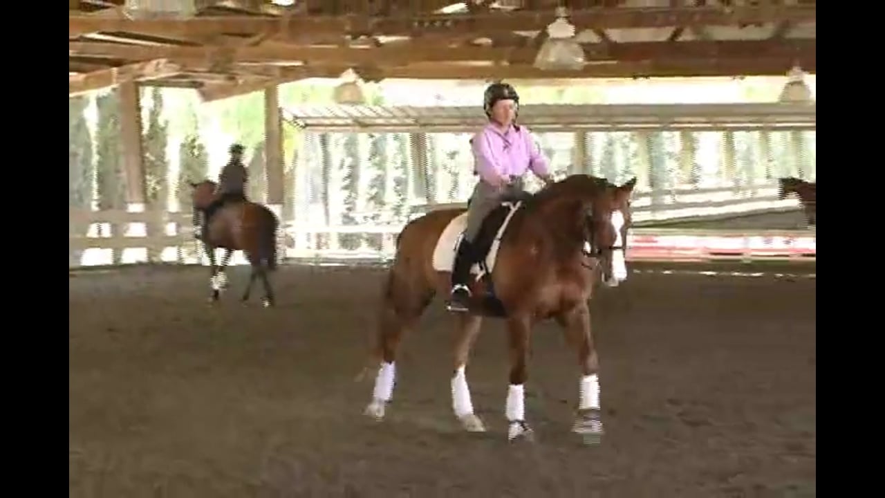 Focusing on basics, using transitions, pirouette work, developing and building t