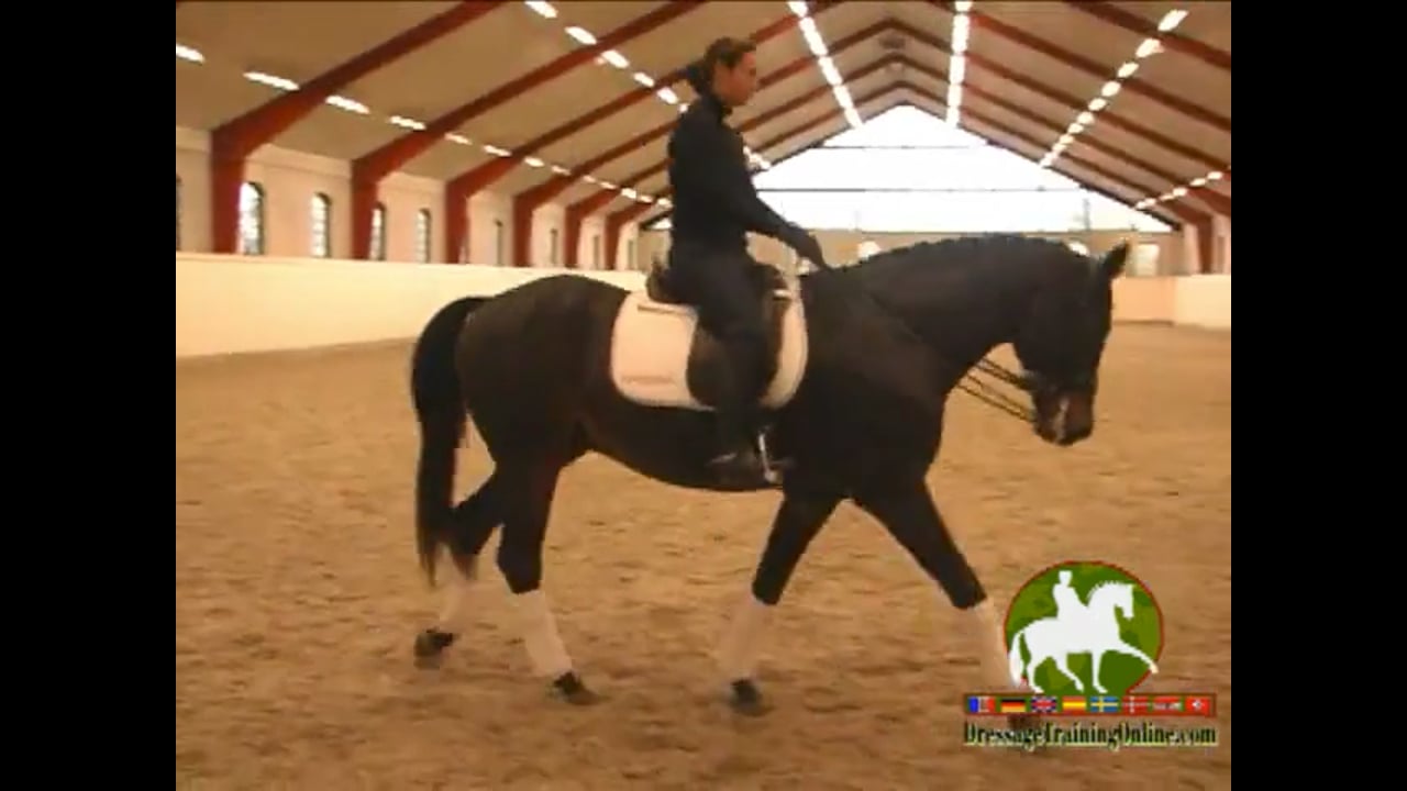 Forward and Back within the Gaits and Flying Changes | Jan Brink | PART 01