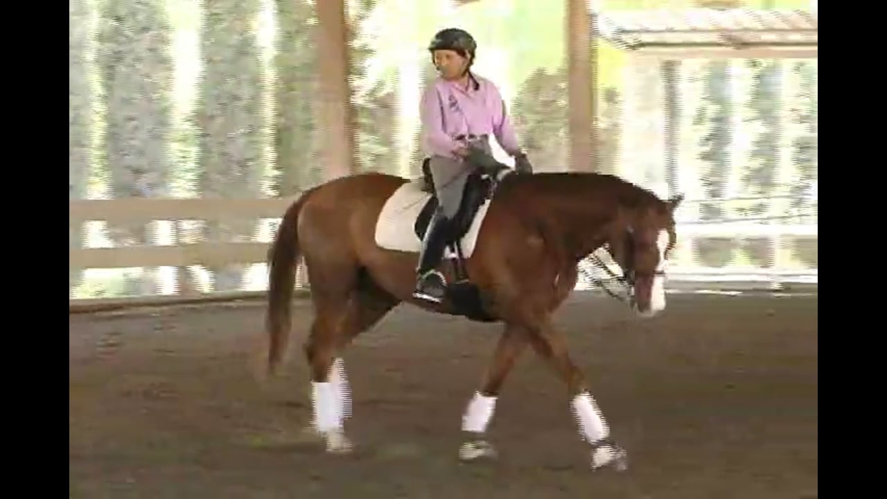 Focusing on basics, using transitions, pirouette work, developing and building t