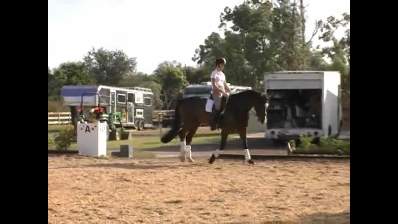 Gait Quality on Grand Prix horse | Arlene Tuny Page | PART 01
