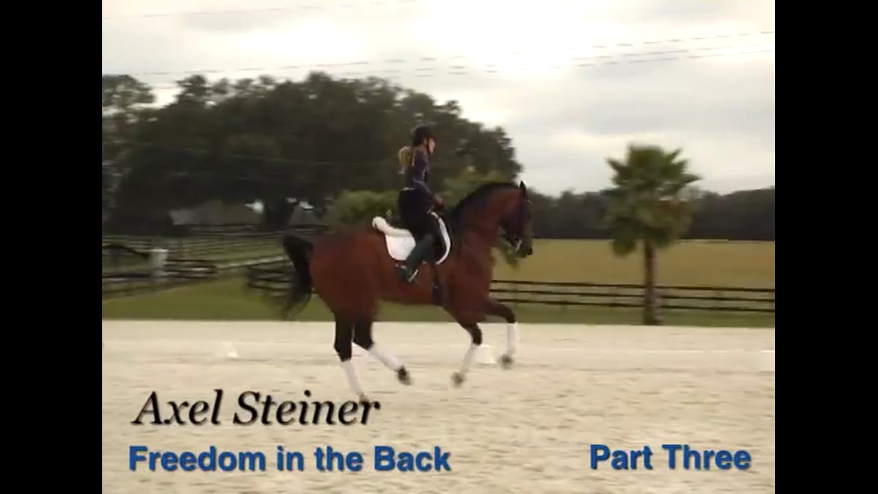 Freedom in the Back | Axel Steiner | PART 03