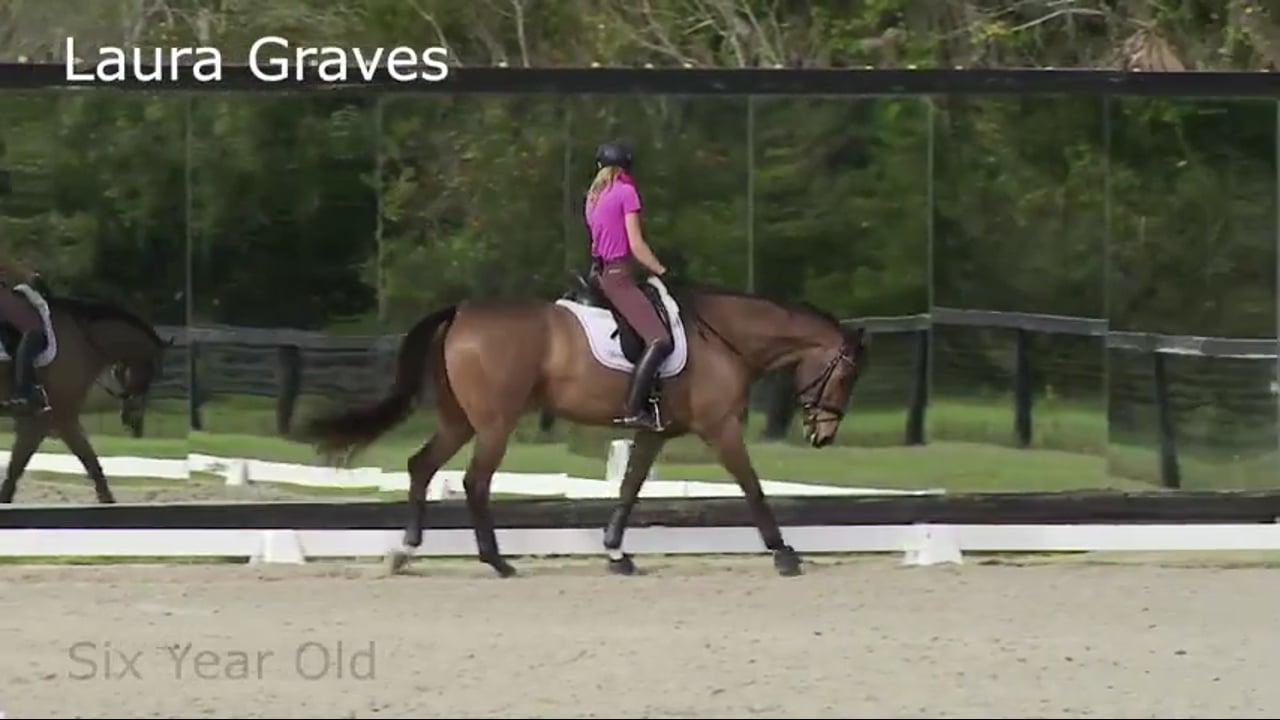 Six Year Old | Laura Graves | PART 02