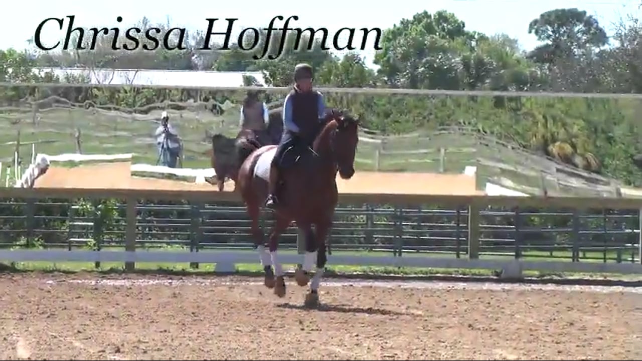 Focus on the Contact | Chrissa Hoffmann | Part 02