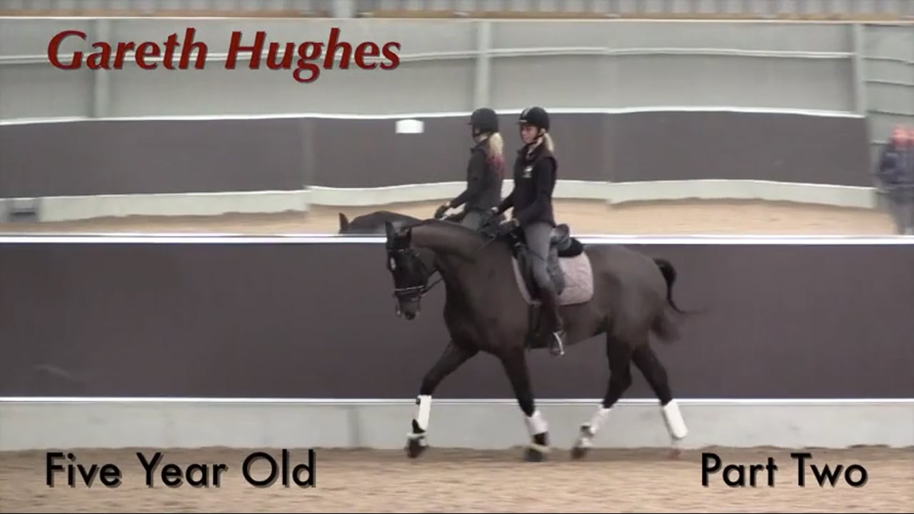 5 Year Old: Upper Level Prospect | Gareth Hughes | PART 02