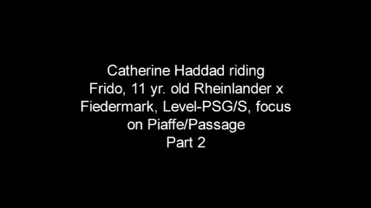 Focus on Piaffe/Passage, Level-PSG/S | Catherine Haddad | PART 02