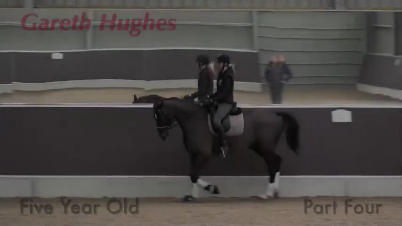 5-Year-Old Upper Level Prospect | Gareth Hughes | PART 04