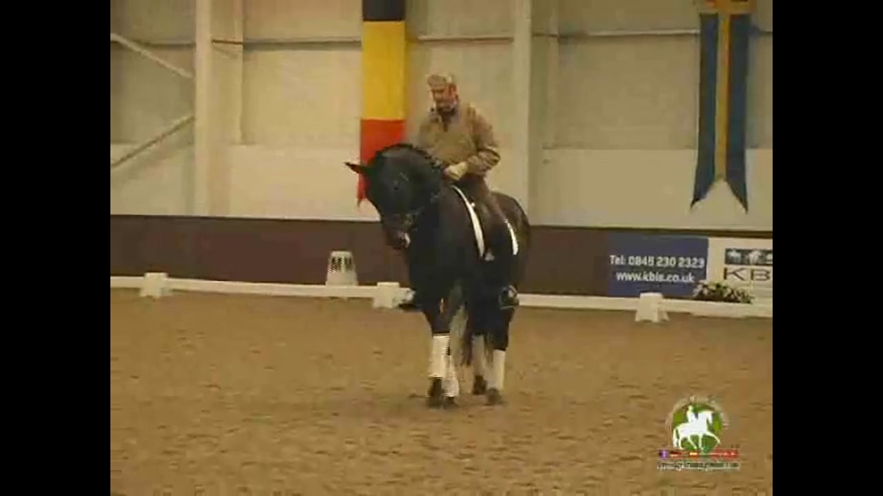 Classic Dressage Video - Riding Demonstration