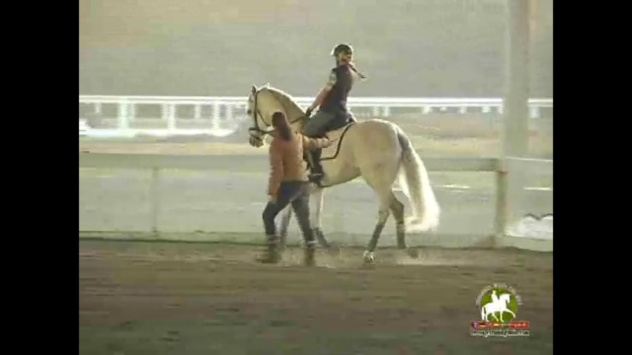 Getting the horse lighter in the contact - Jody Hartstone