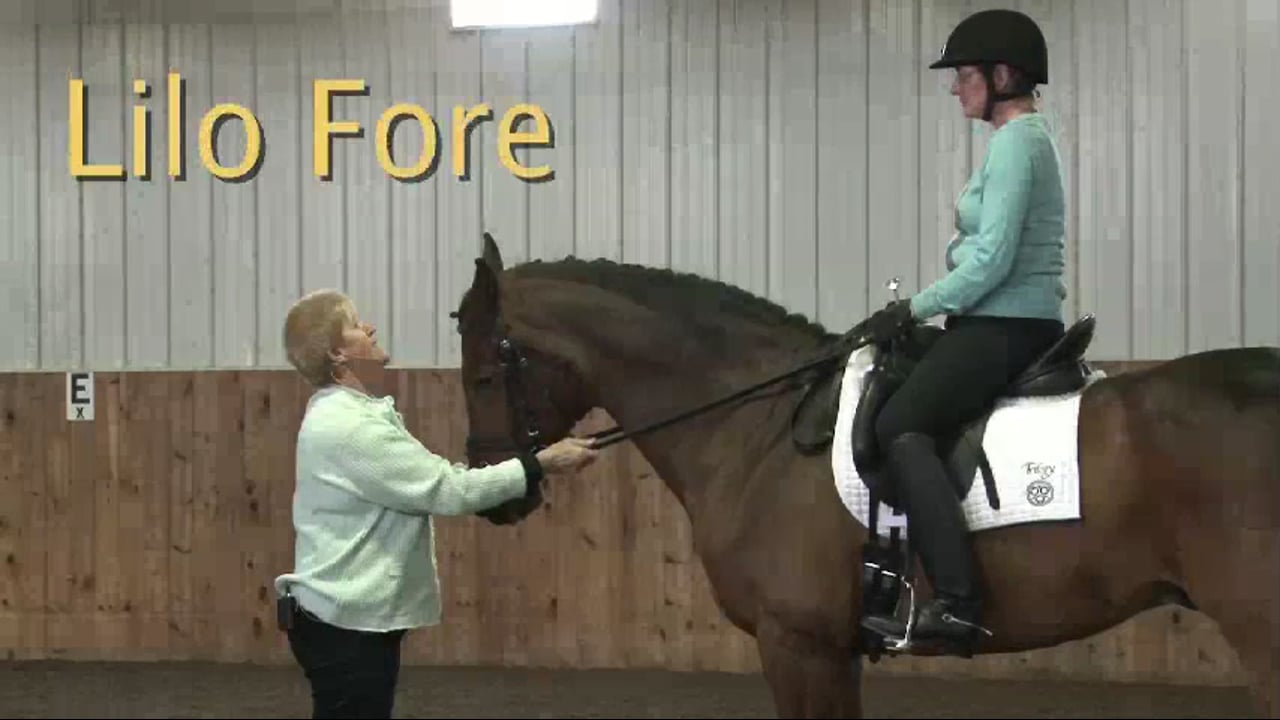 FarmVet/USDF Adult Clinic: Responsiveness to the Leg | Lilo Fore | PART 05
