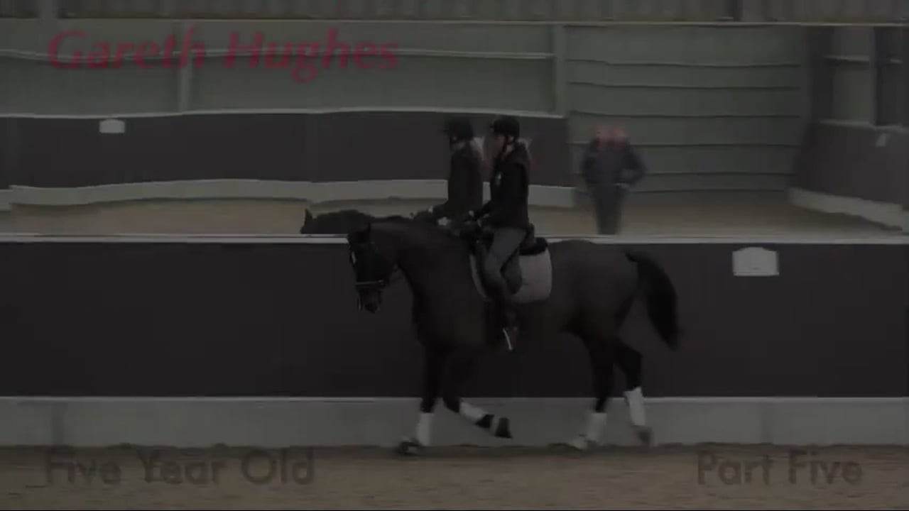 5-Year-Old Upper Level Prospect | Gareth Hughes | PART 05