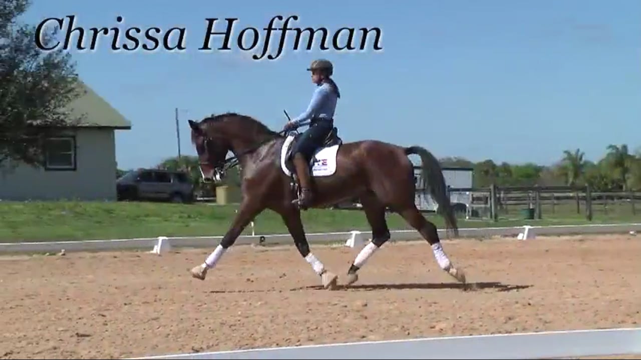 Fourth/PSG - Part Two - Canter Pirouettes