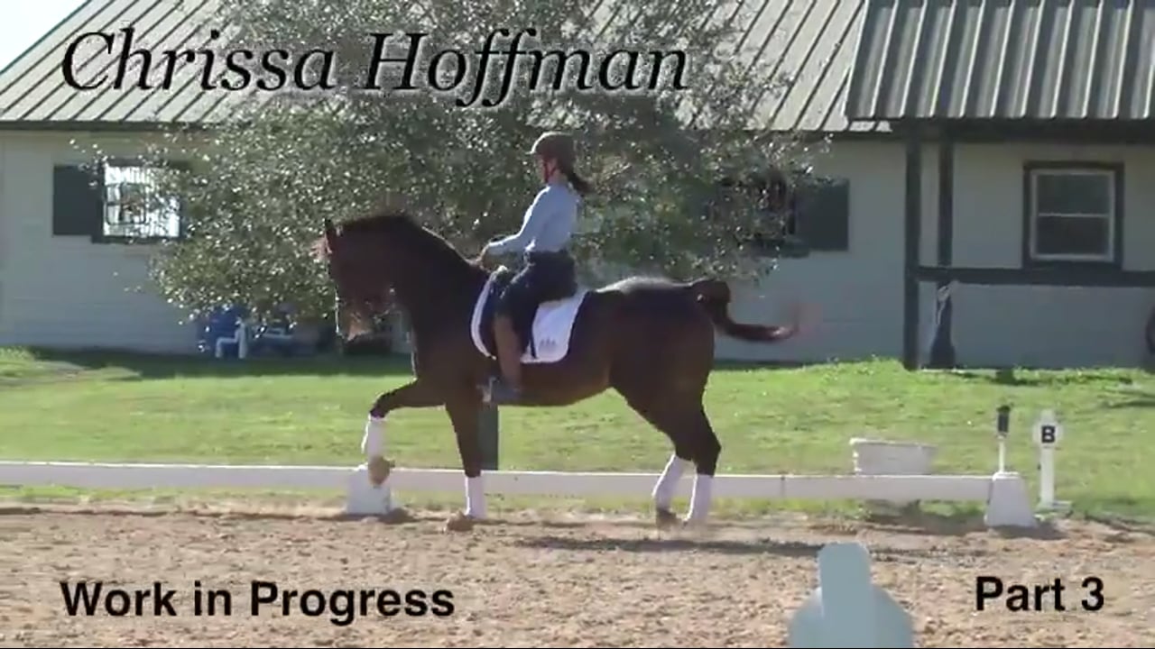 Work in Progress | Chrissa Hoffman | PART 03