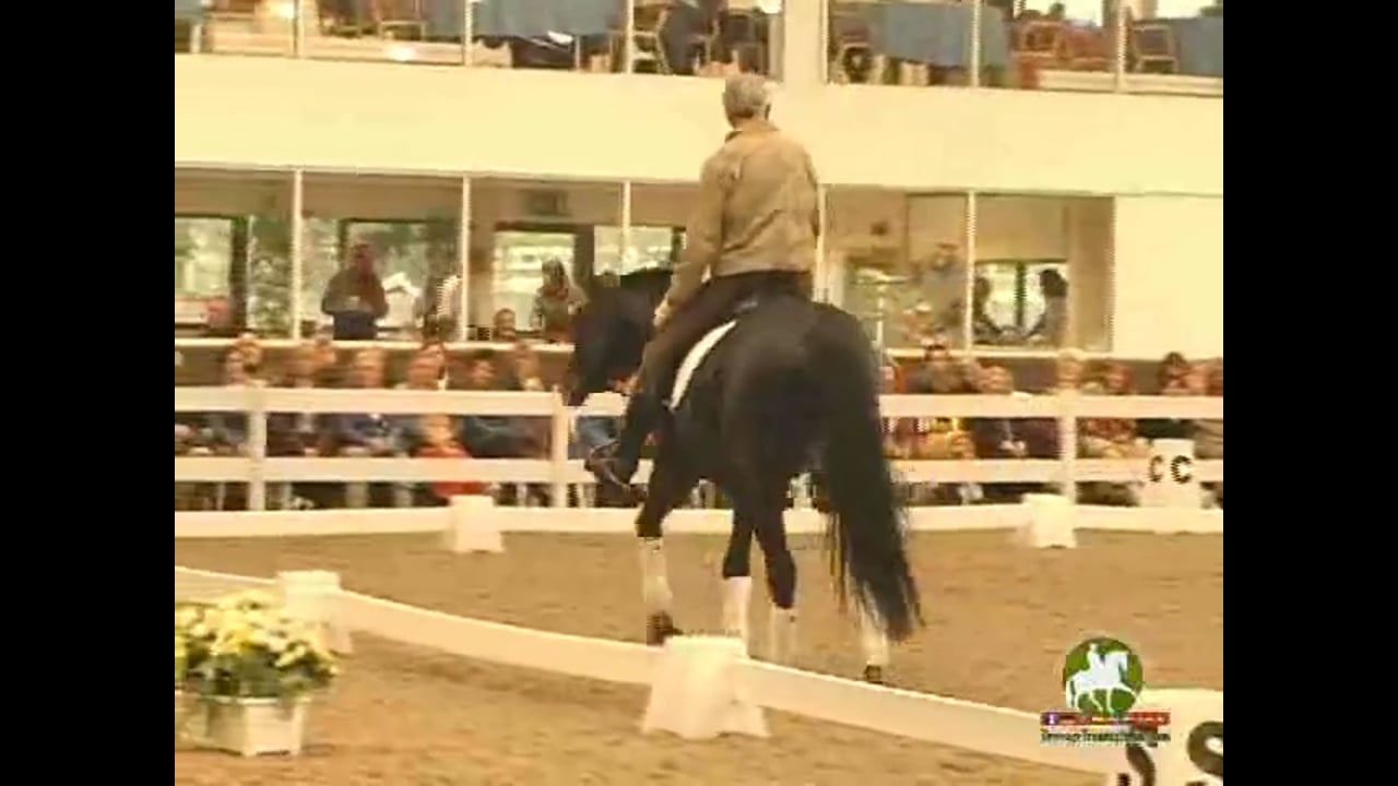 Relaxing a Hot Horse: Tempi Changes, Piaffe, Passage | Jean Bemelmans | PART 04
