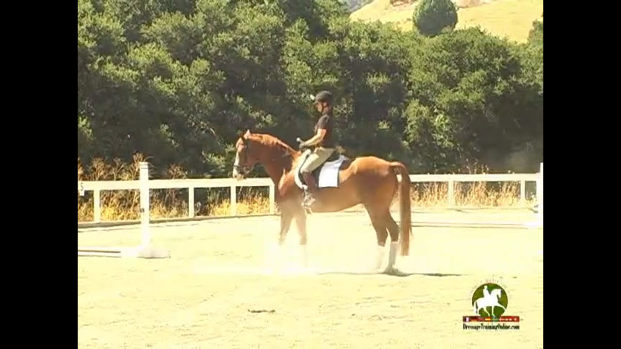 Swing: Improving Canter and Walk Pirouettes | Arthur Kottas-Heldenberg | PART 01