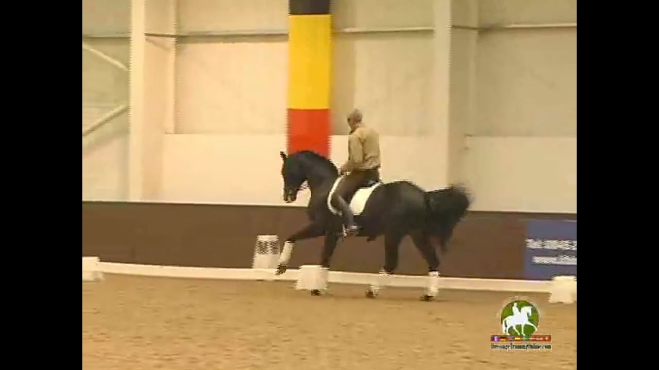 Relaxing a Hot Horse: Tempi Changes, Piaffe, Passage | Jean Bemelmans | PART 03