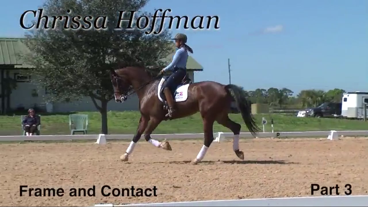 Frame and Contact | Chrissa Hoffman | PART 03