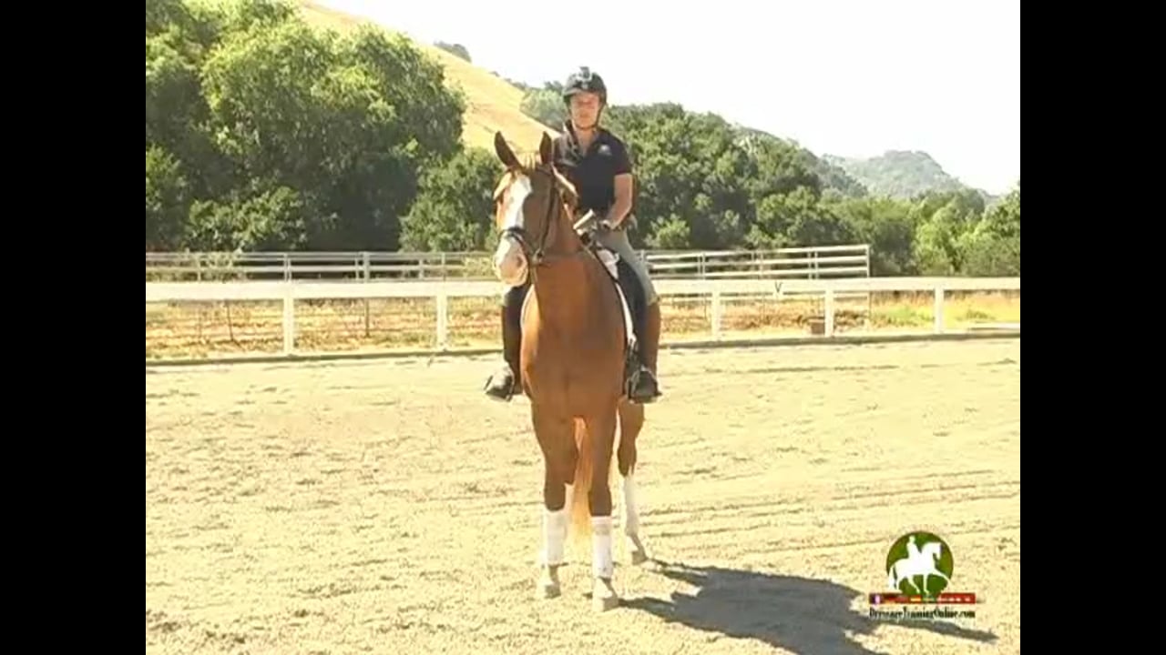 Getting the horse lighter in the contact - Jody Hartstone