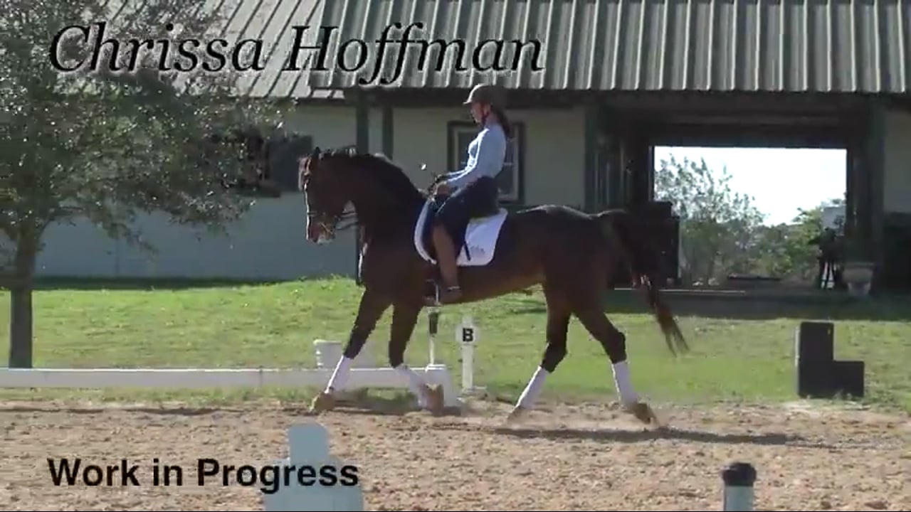 Work in Progress | Chrissa Hoffman | PART 02