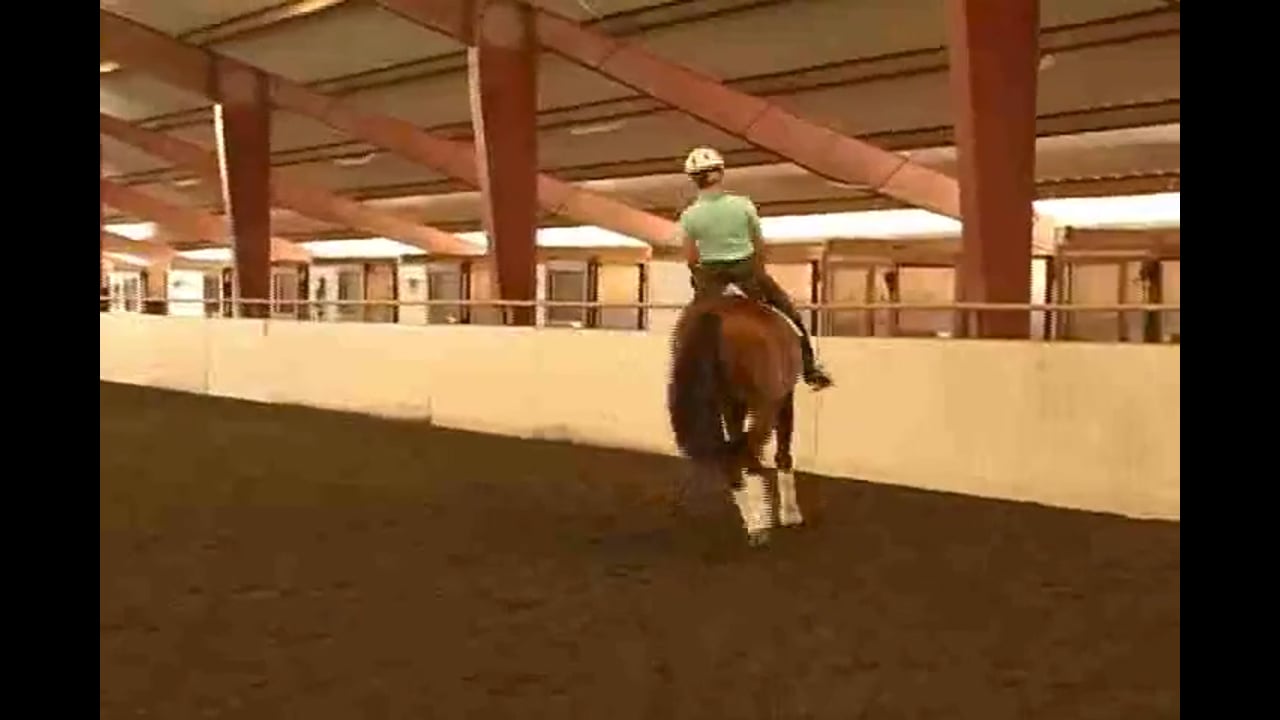 Getting Quickness Behind | Shannon Peters | PART 02