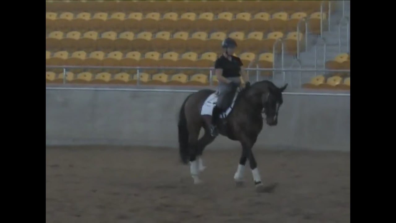 Getting the Horse More Supple | Hilda Gurney | PART 01