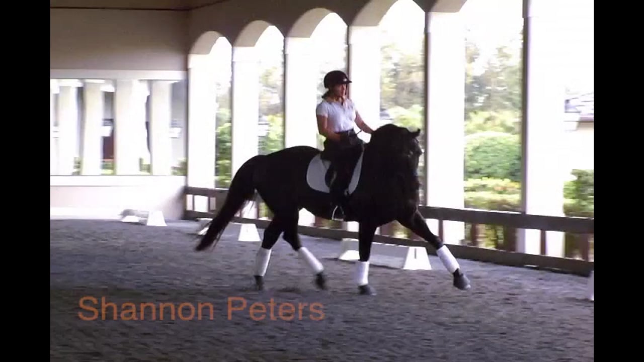 Quickness | Shannon Peters | PART 03
