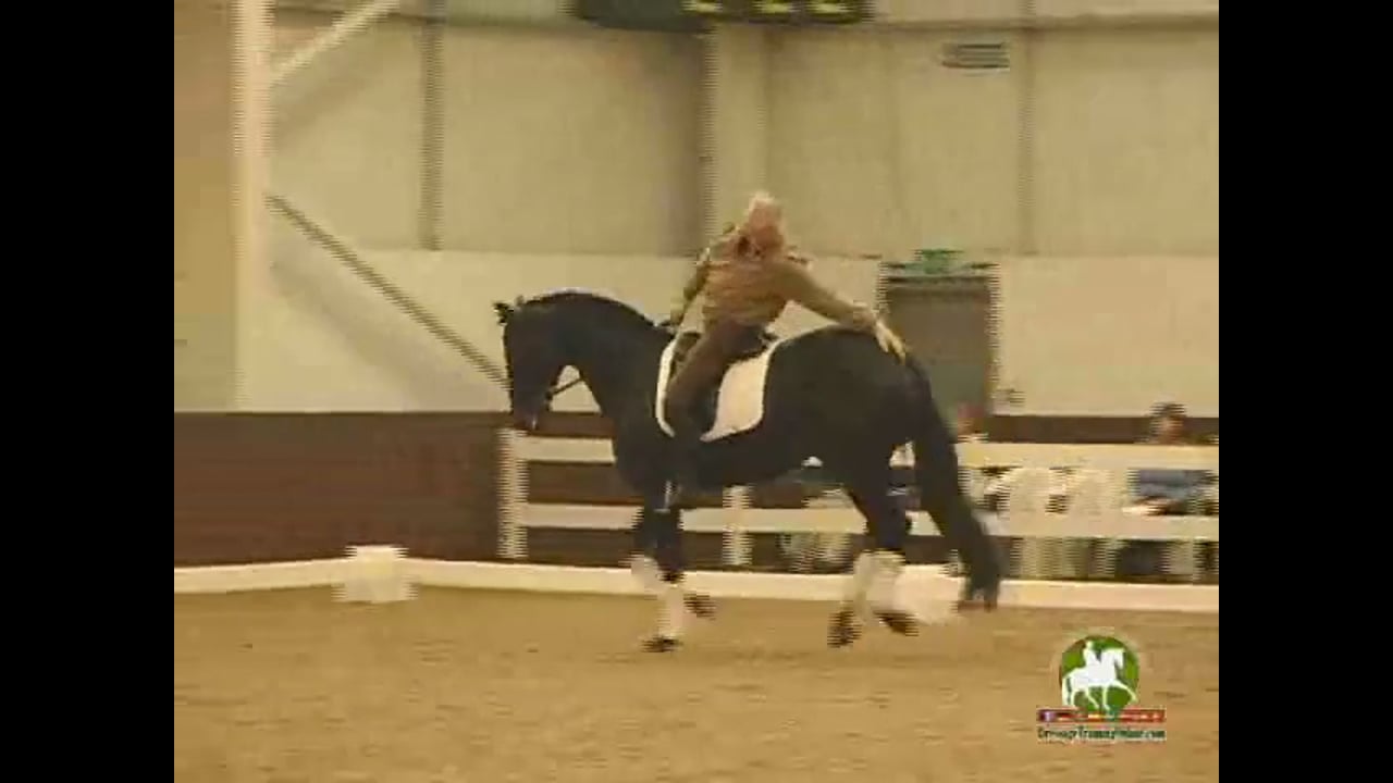 Better Walk, Canter & Tempi's from a Short Hopping Stride | Jan Bemelmans