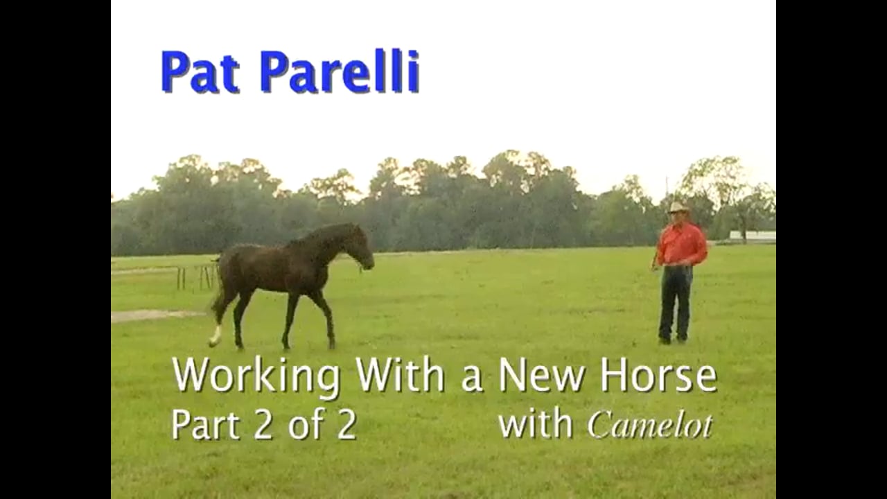 Working with a New Horse | Pat Parelli | PART 02