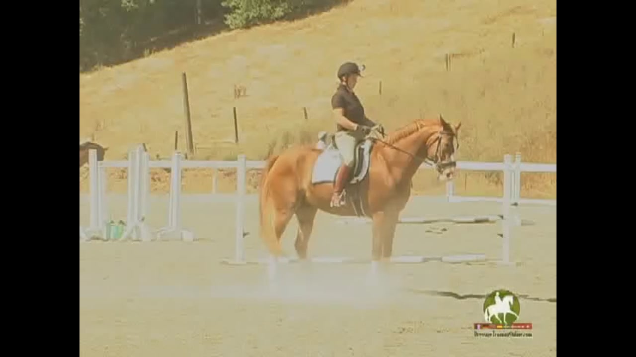 Swing: Improving Canter and Walk Pirouettes | Arthur Kottas-Heldenberg | PART 02