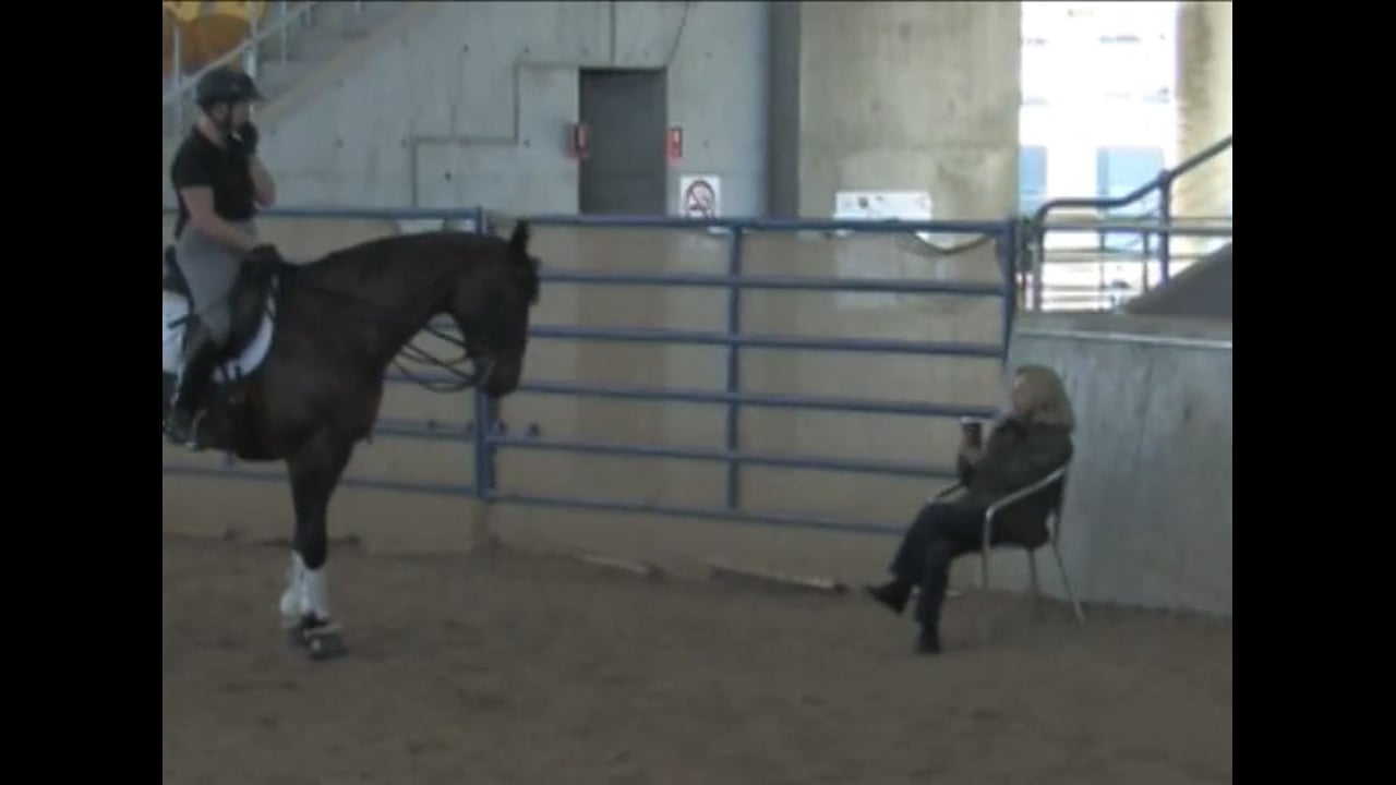 Getting the Horse More Supple | Hilda Gurney | PART 02