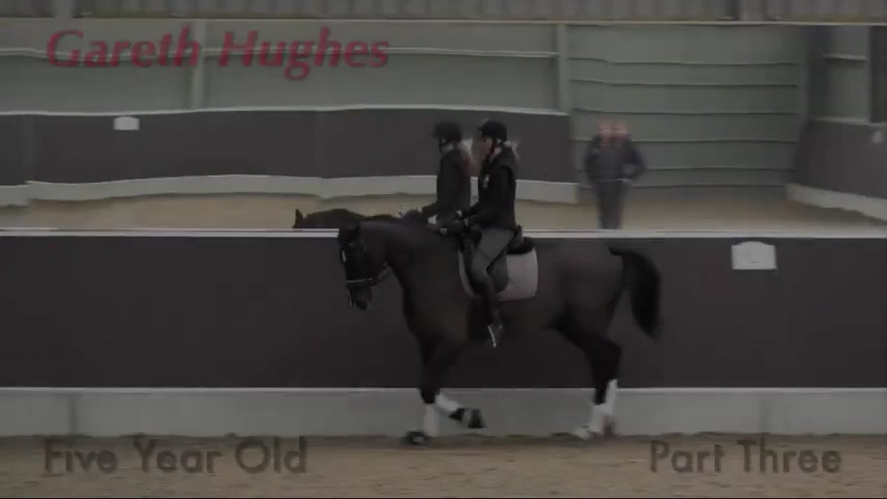 5-Year-Old Upper Level Prospect | Gareth Hughes | PART 03