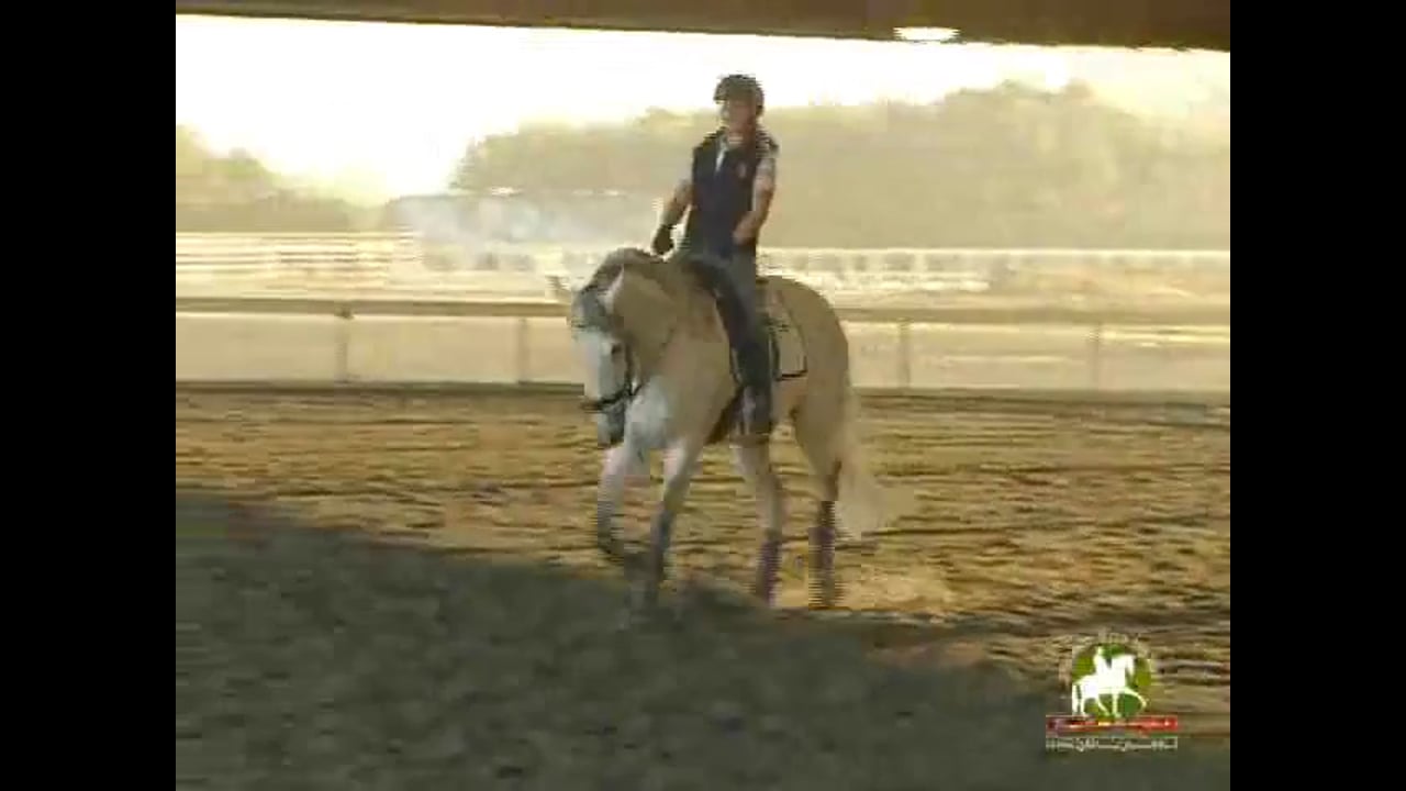 Getting the horse lighter in the contact - Jody Hartstone