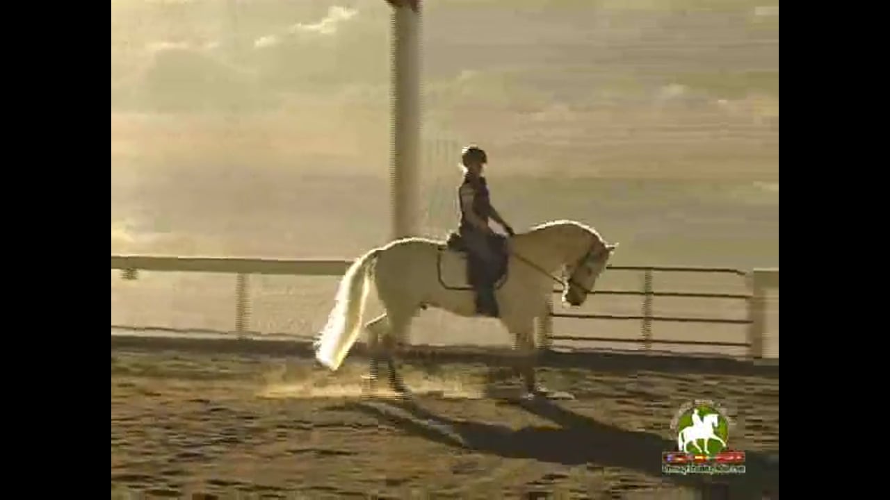 Getting the horse more put together, using corners - Catherine Haddad