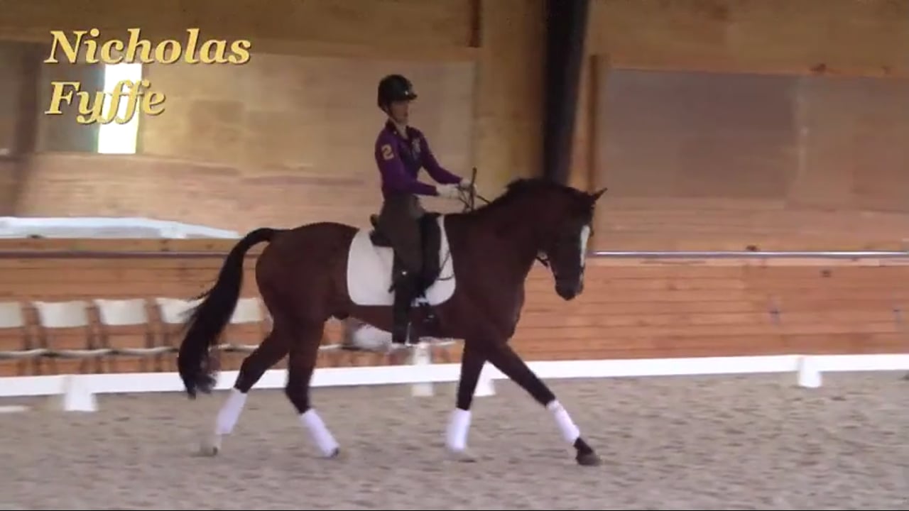 Getting the Horse to Take You | Nicholas Fyffe | PART 03