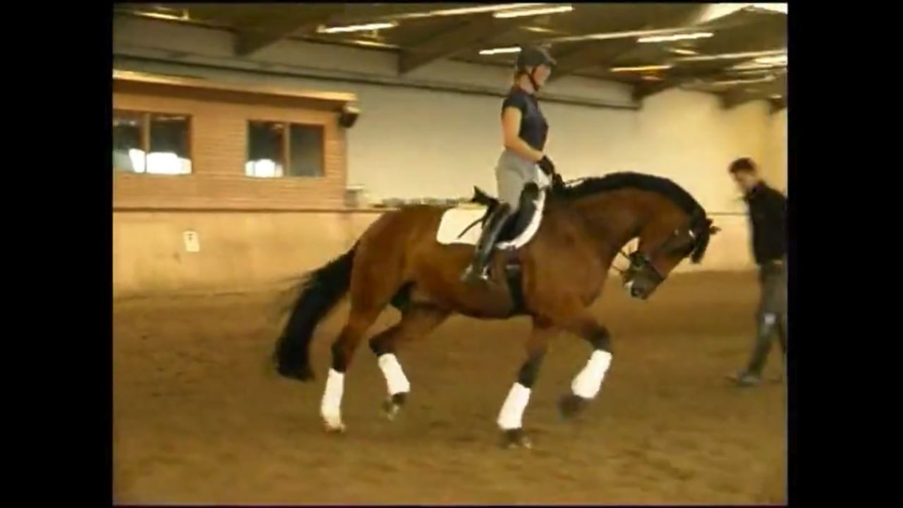 Getting the horse on the outside rein - Debbie McDonald