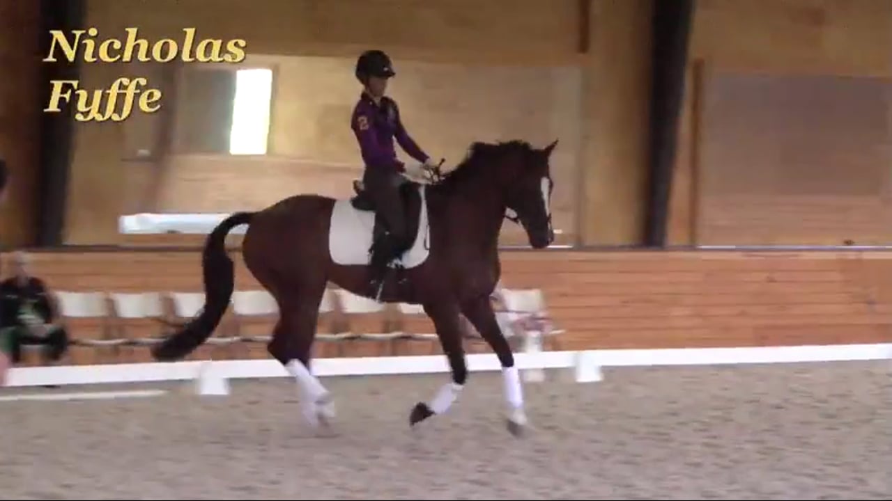 Getting the Horse to Take You | Nicholas Fyffe | PART 04