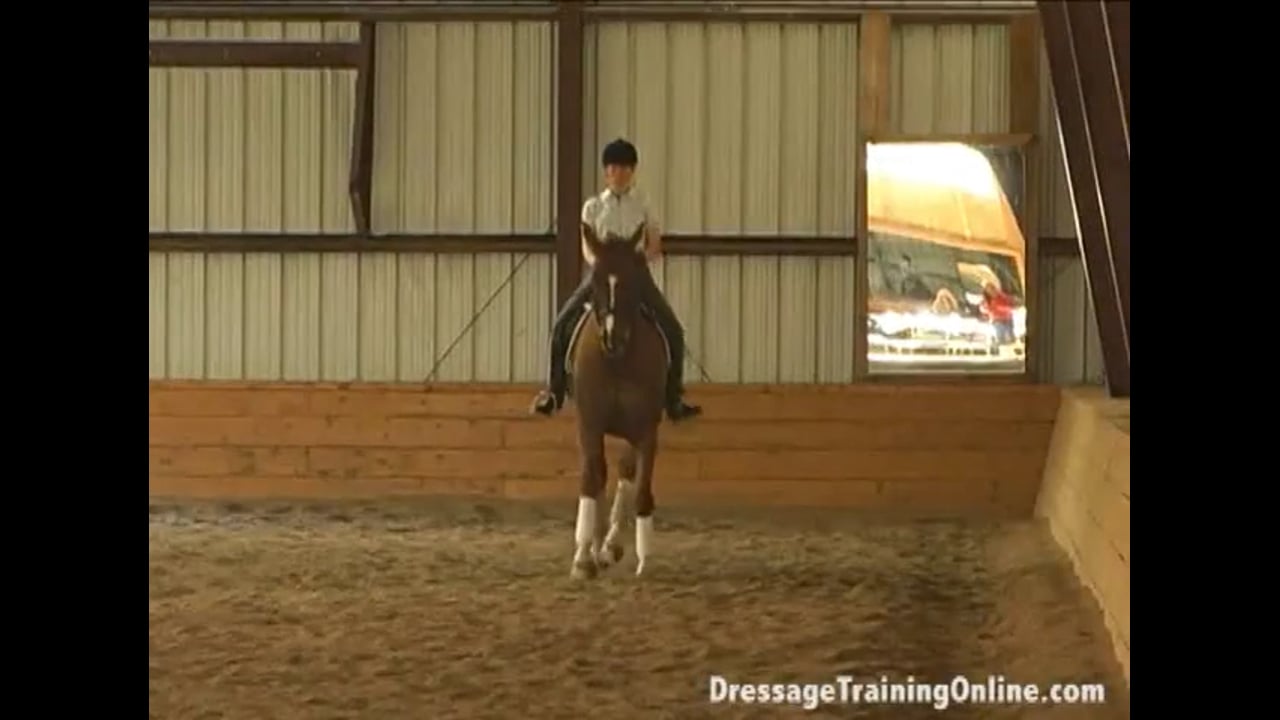Getting to Know Professional Groom Laurie Pitts
