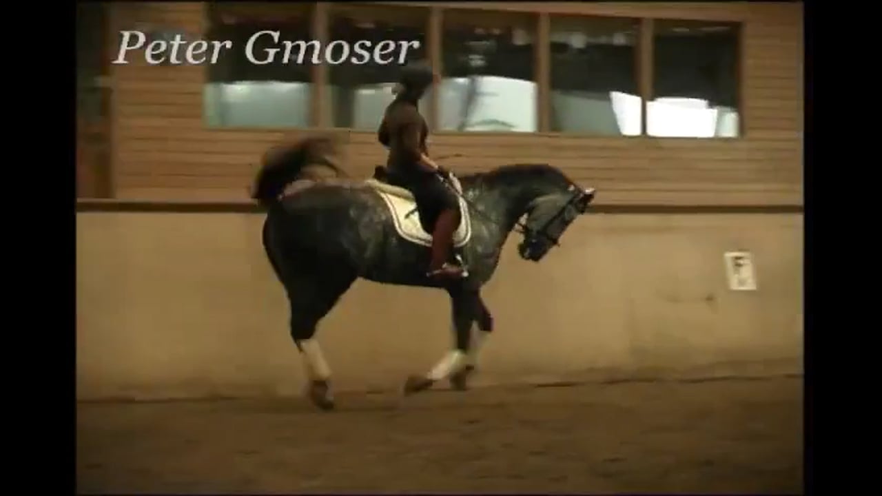 Progressive Training | Peter Gmoser | PART 07