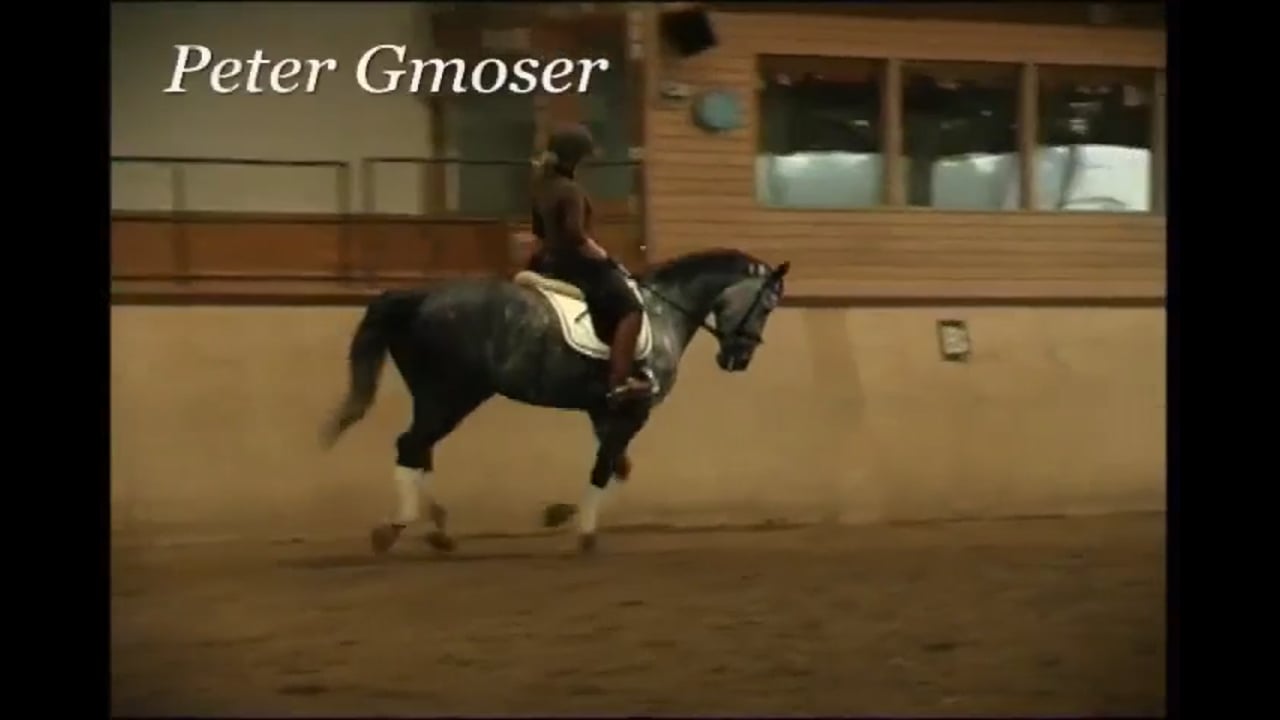 Progressive Training | Peter Gmoser | PART 04